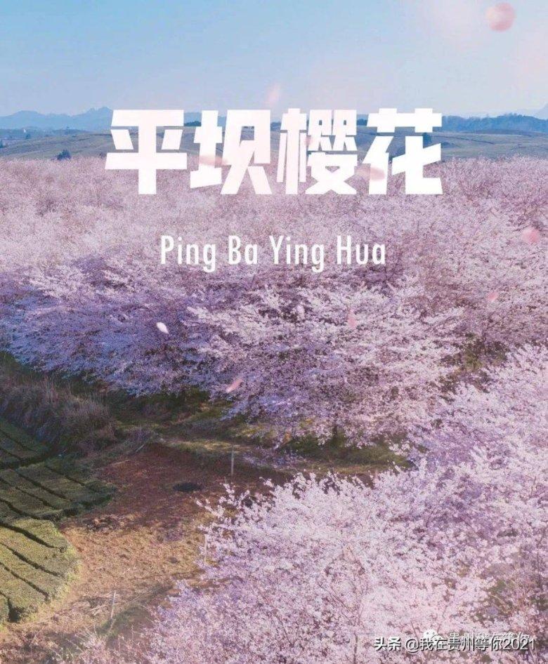 球球大作战下载最新版