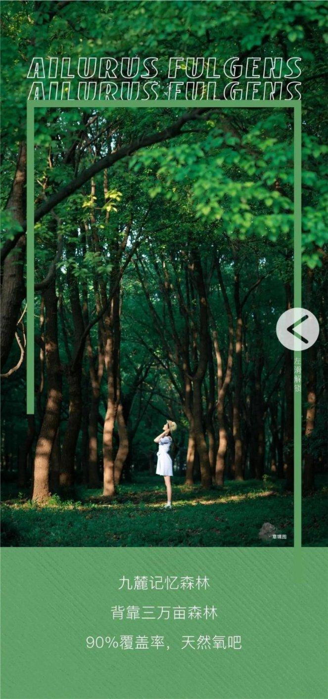 了解怎样给宝宝断奶?知识星球,扩展你的知识领域