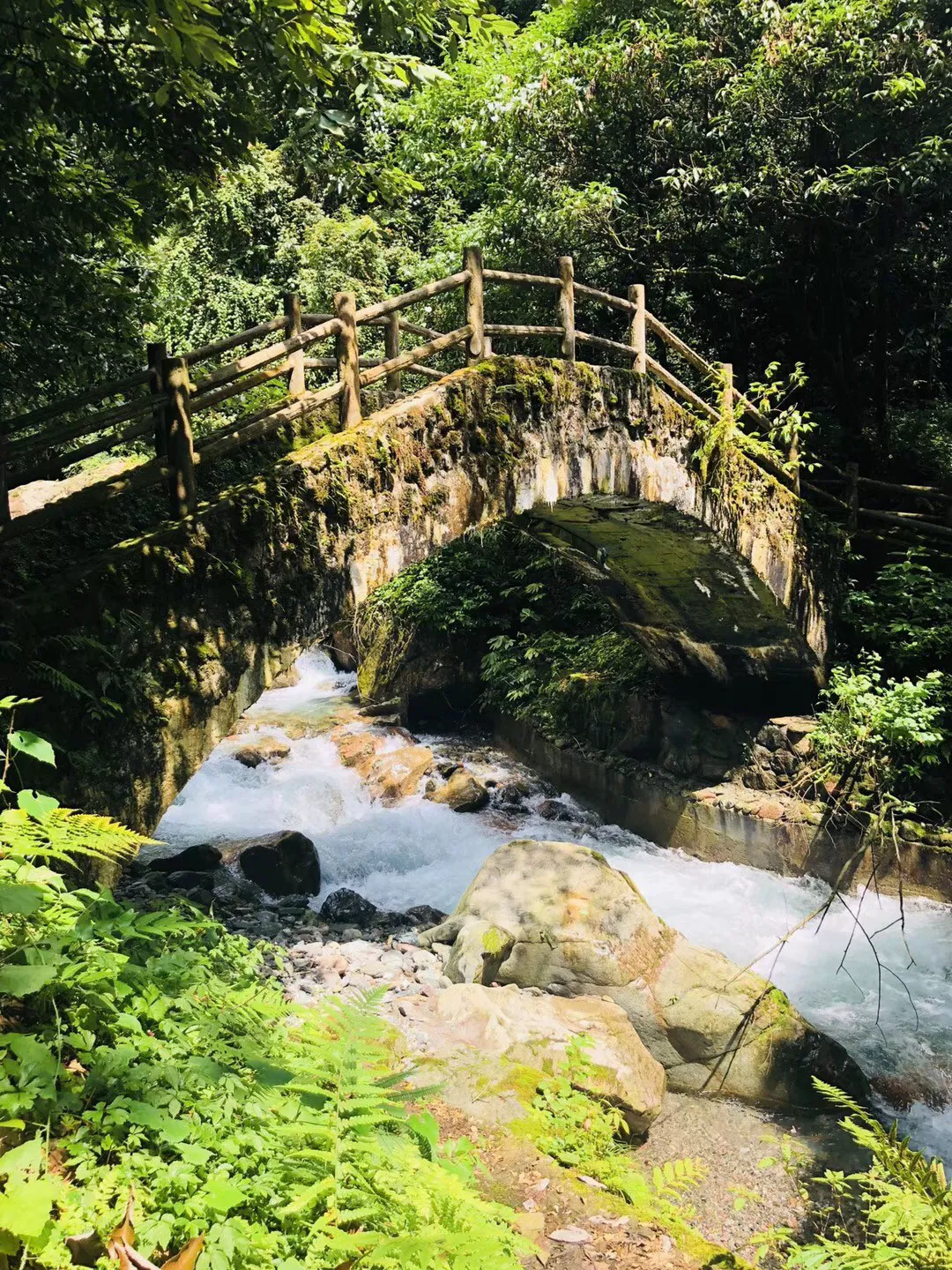 探秘蜗牛问答平台——人每天得喝1500毫升水的这个说法是不是错的?我每天喝撑也达不到