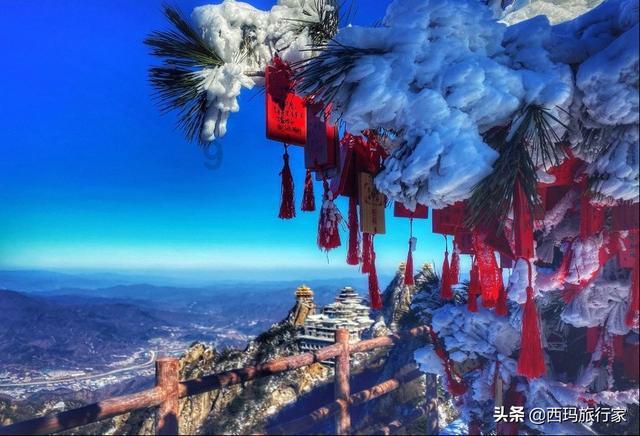 探索模拟农场15种子装满后怎么换别的种子最新资讯,模拟农场15种子装满后怎么换别的种子平台一网打尽